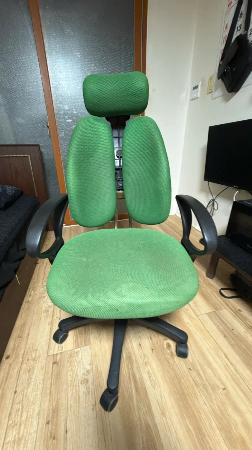 듀오백 녹색 의자