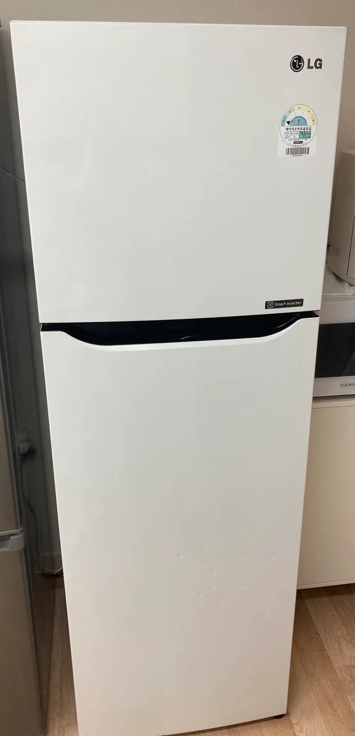 LG 냉장고 R-B261GBW