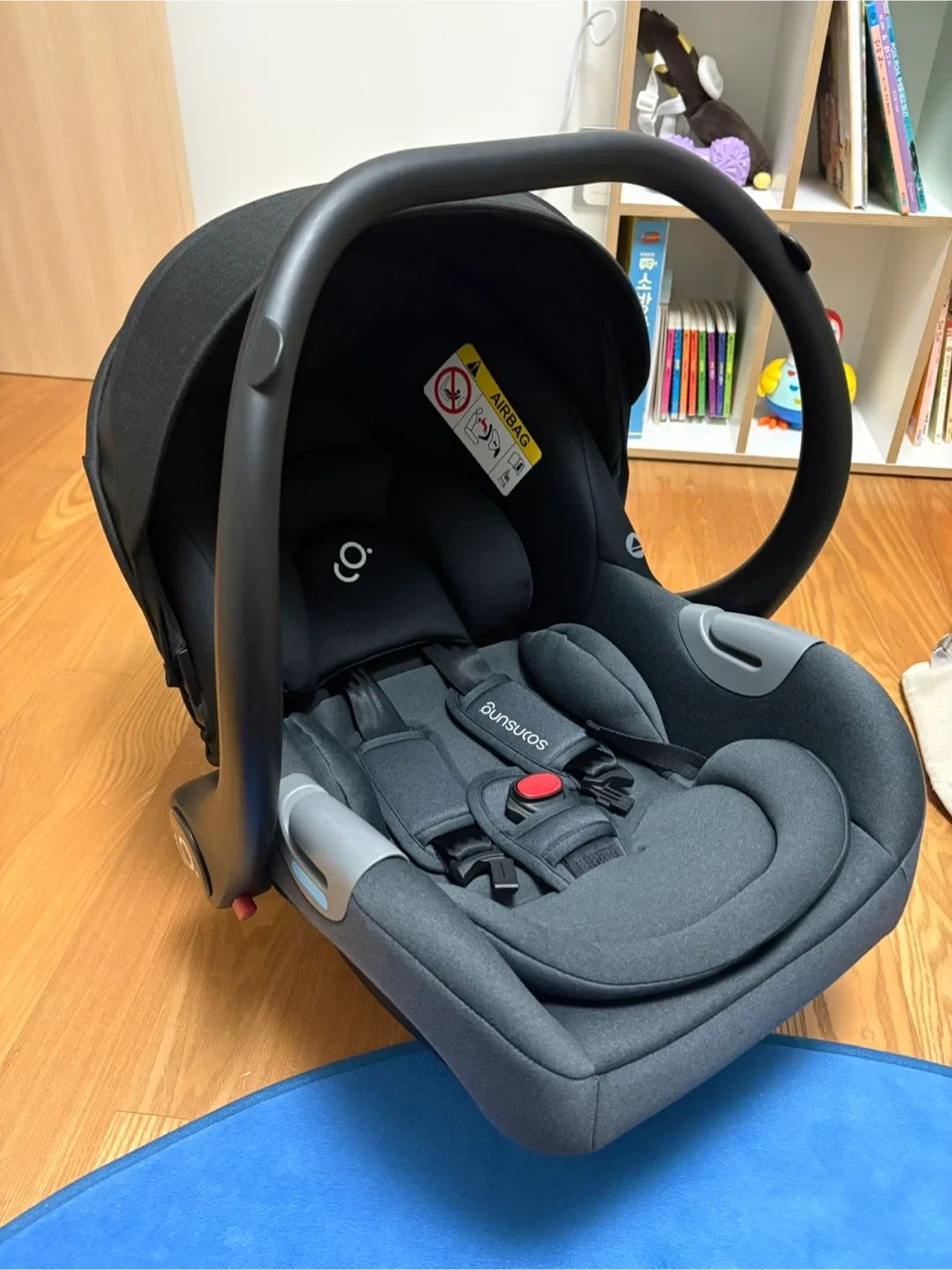 순성 캐리 바구니 카시트 블랙