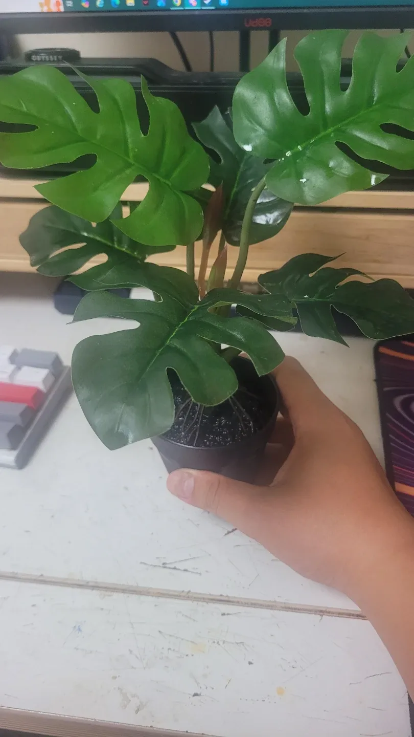 크레스티드게코 비바리움 인공식물 화분