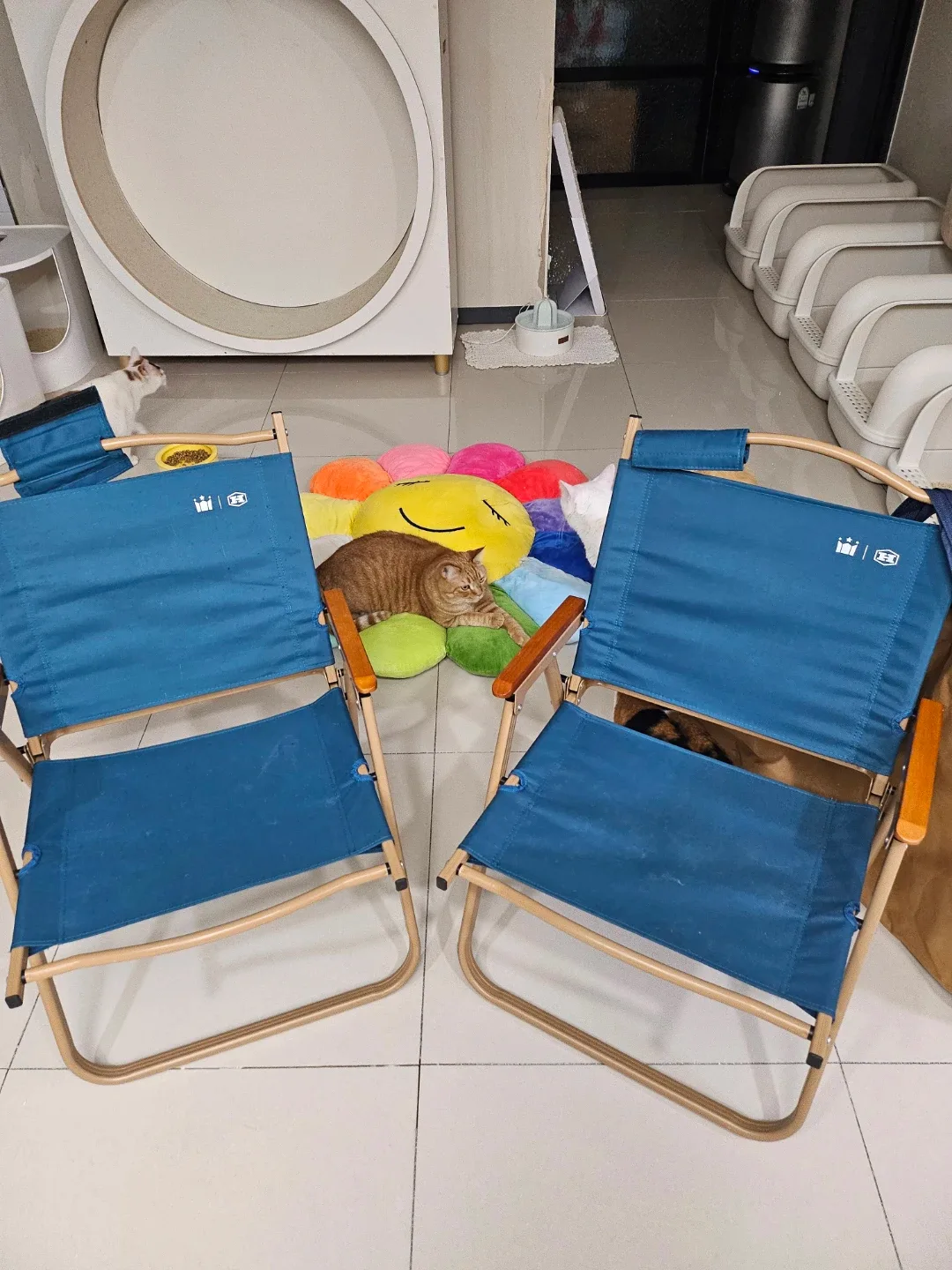 할리스 하이브로우 캠핑의자