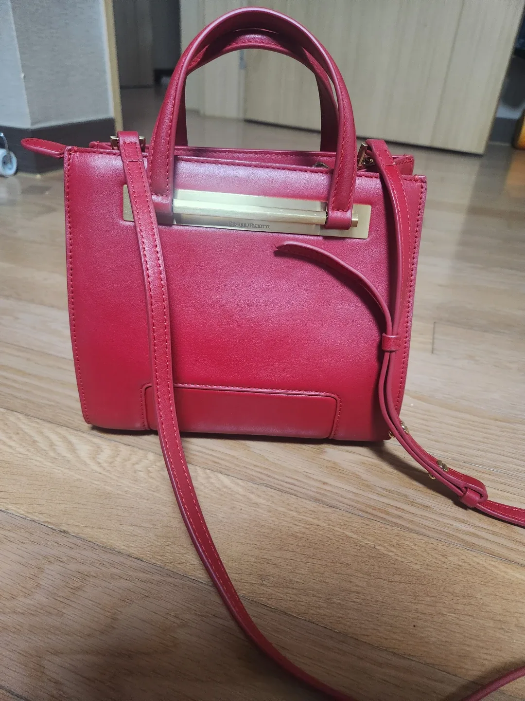 체사레 파치오티토트백