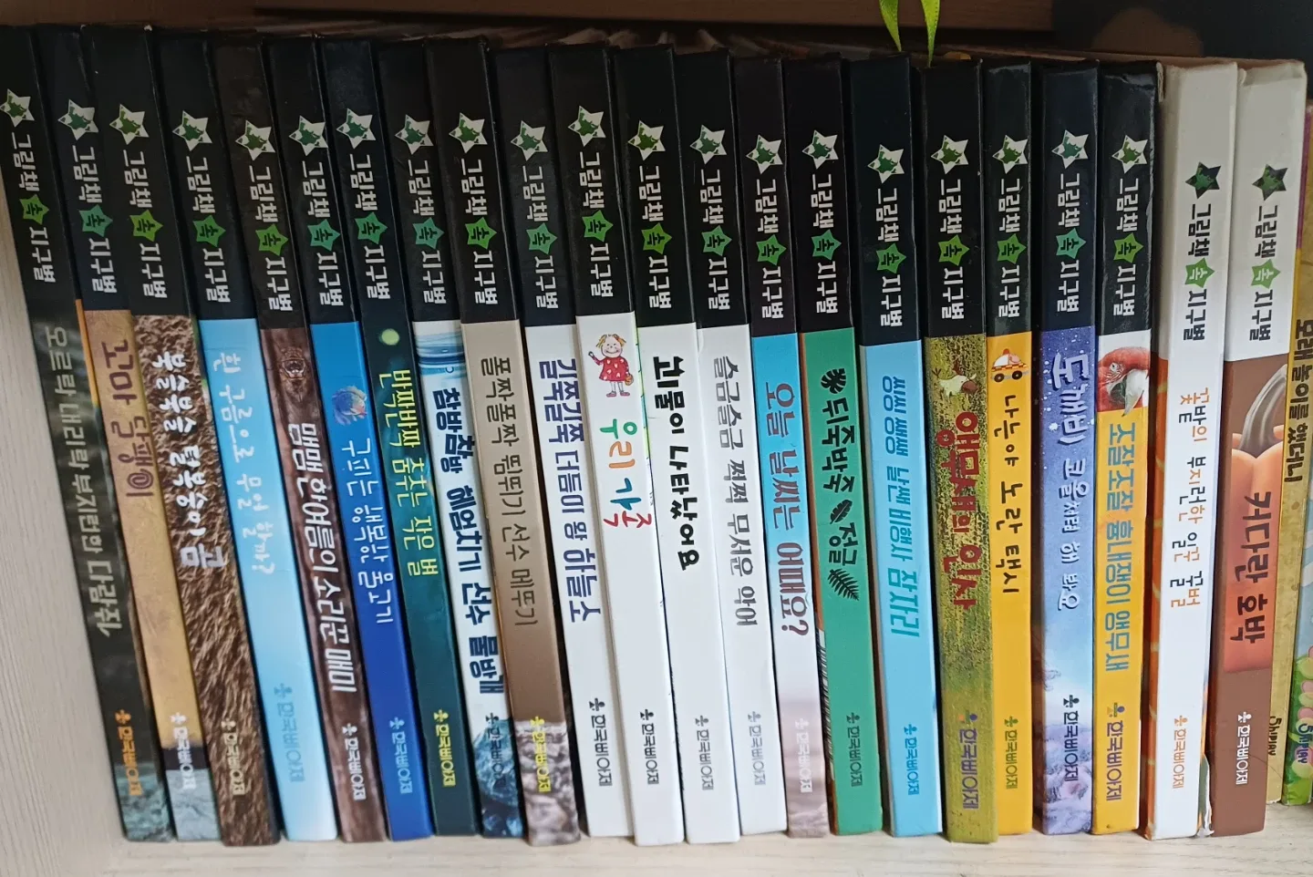 한국삐아제 그림책속 지구별