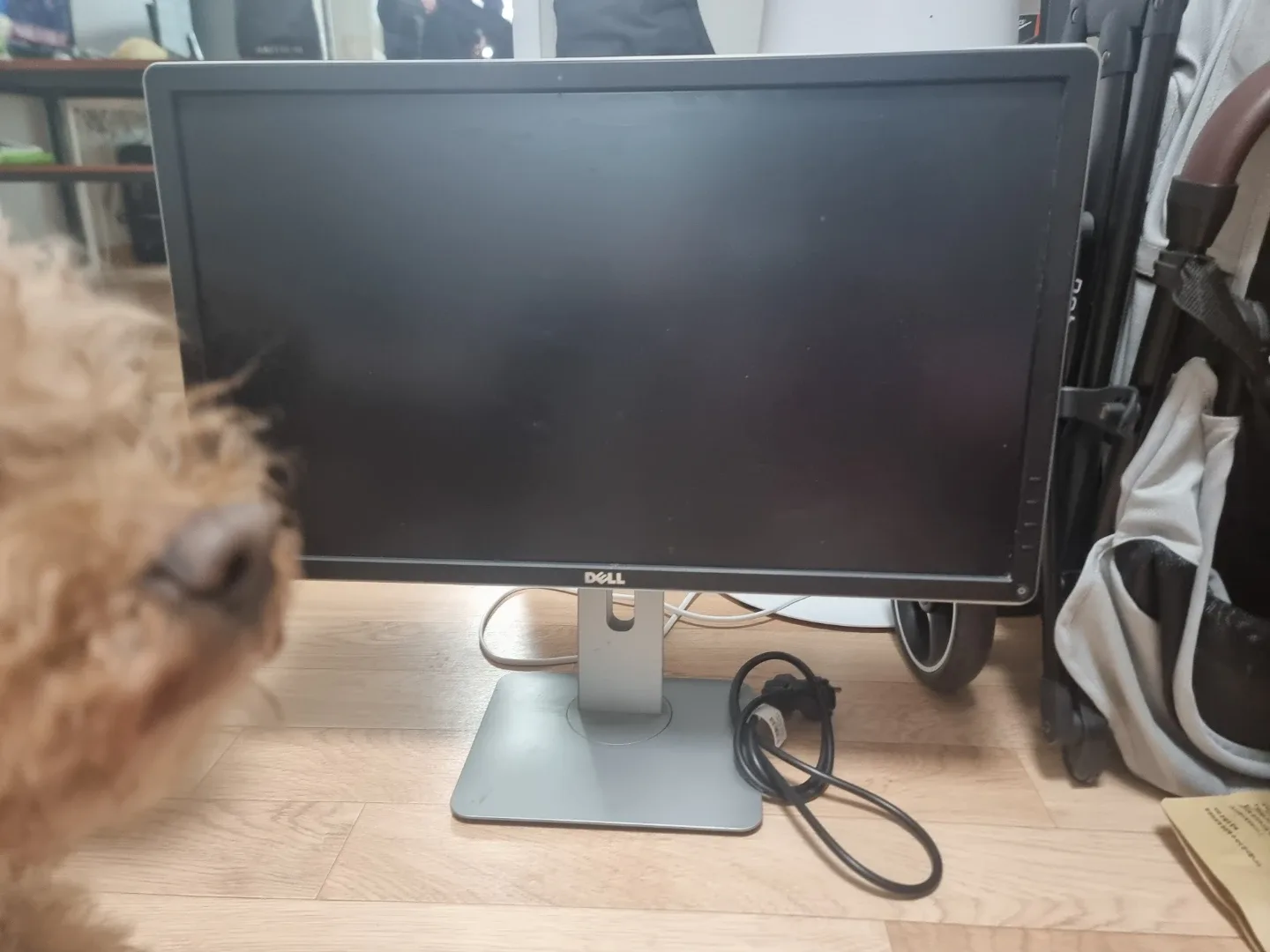 Dell P2414Hb 24인치 모니터