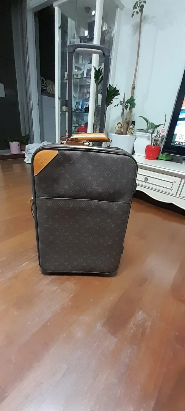 루이비통 모노그램 캐리어 여행 가방