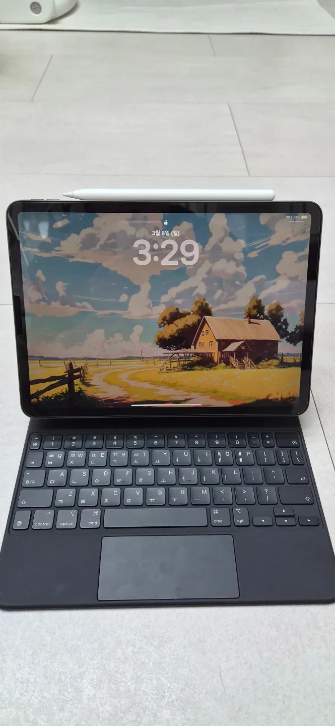 아이패드 프로 11 64GB + 애플펜슬 2세대 + 매직 키보드