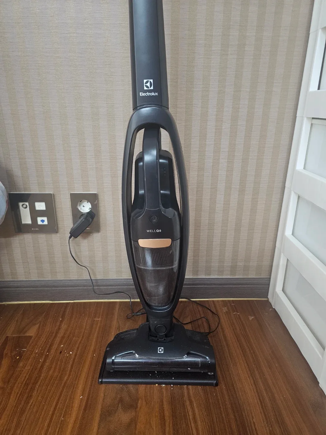 일렉트로룩스 무선 청소기