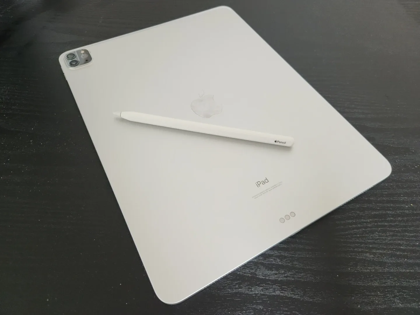 아이패드 프로 12.9 4세대 256GB 실버 + 애플펜슬