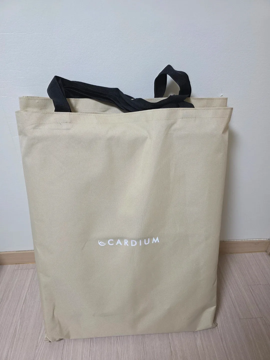 카디움 캠핑 의자 2개 베이지