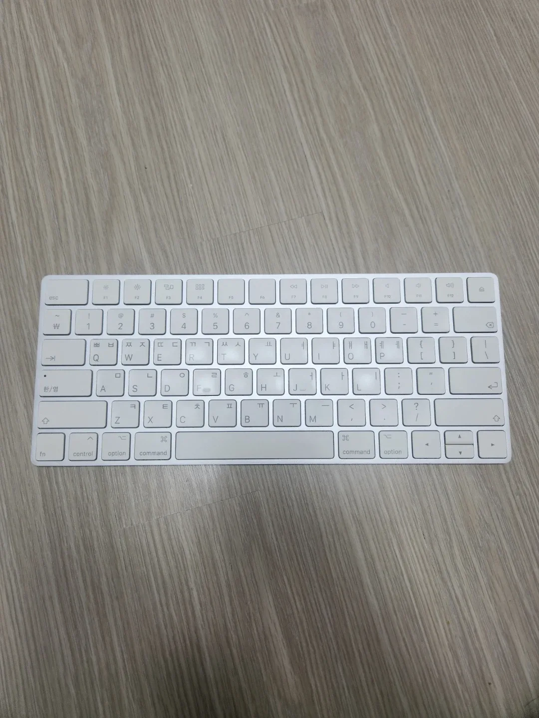 애플 매직키보드 A1644