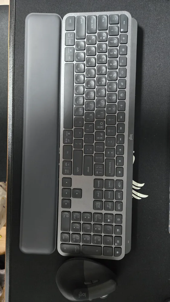 로지텍 MX Keys&팜레스트 + lift 마우스 팝니다.