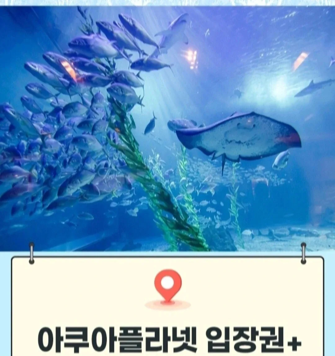 광교/ 일산/ 여수/ 제주 아쿠아플라넷 입장권 [빠른답장]