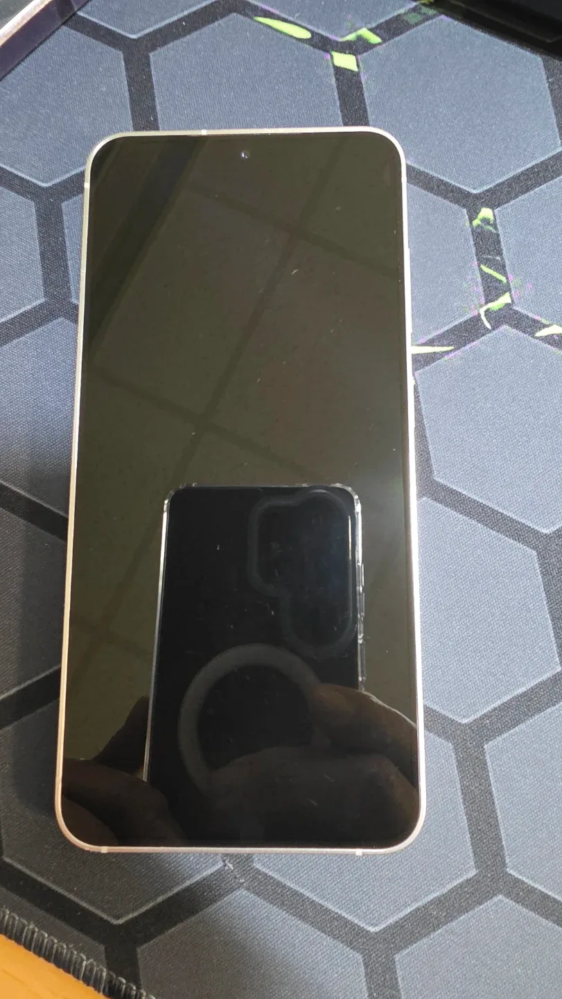 갤럭시S24 256 실버