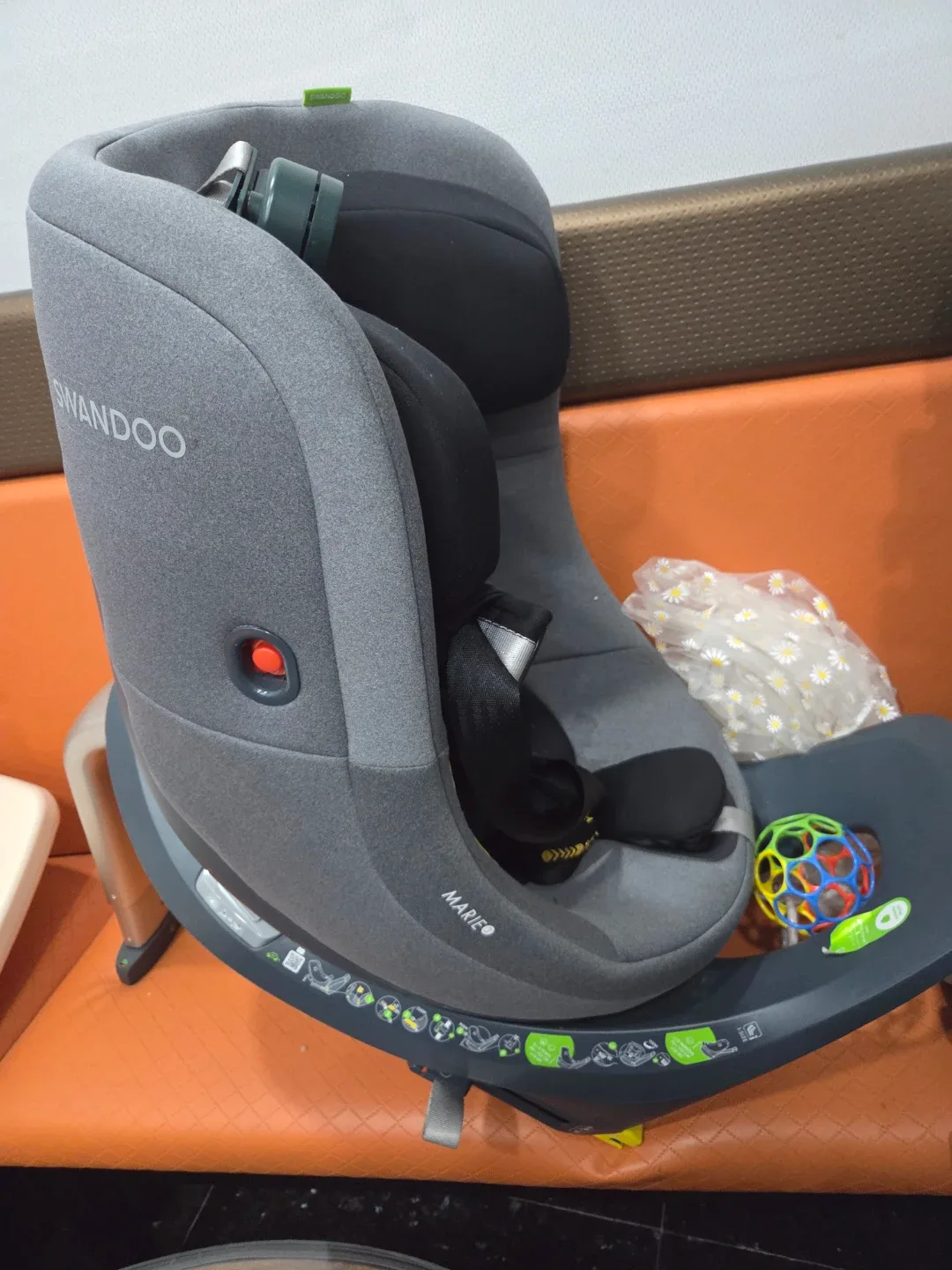 스완두 마리 3 카시트