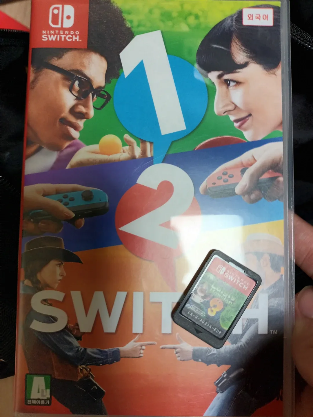 닌텐도 스위치 게임 칩