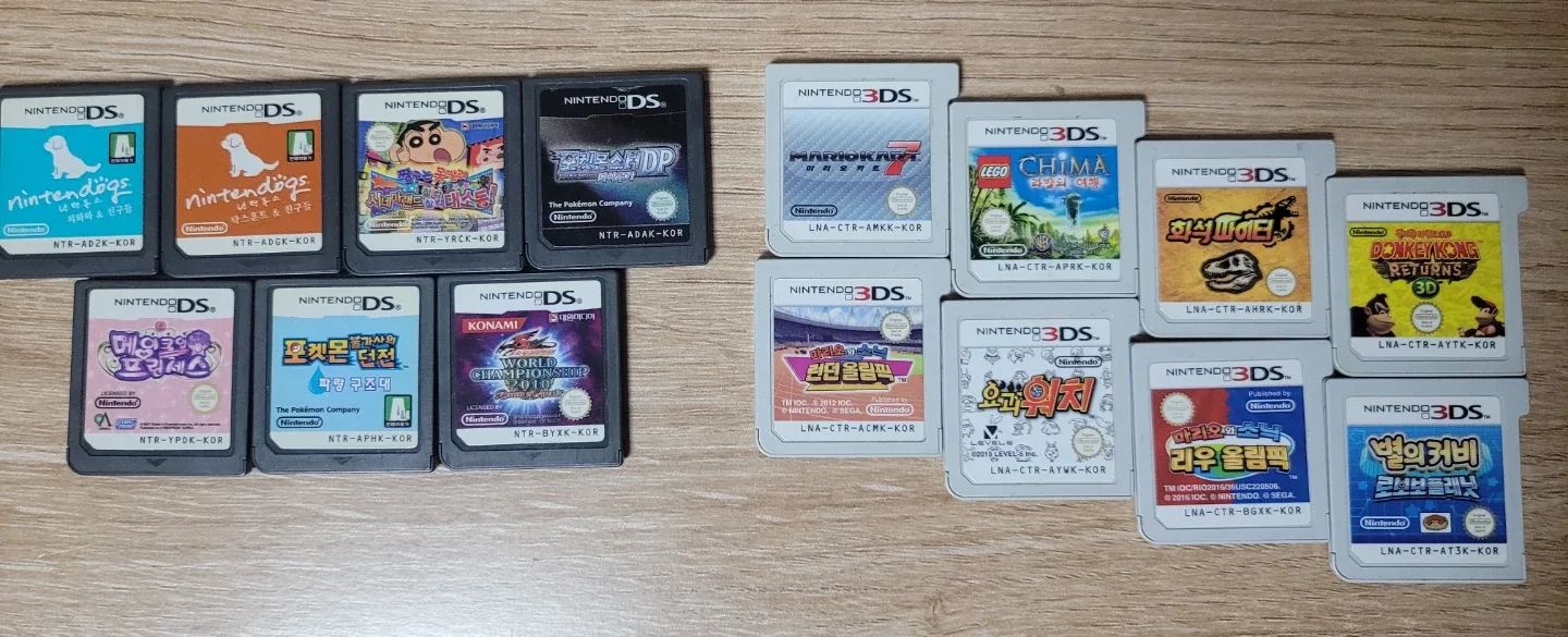 닌텐도 DS/3DS 게임칩