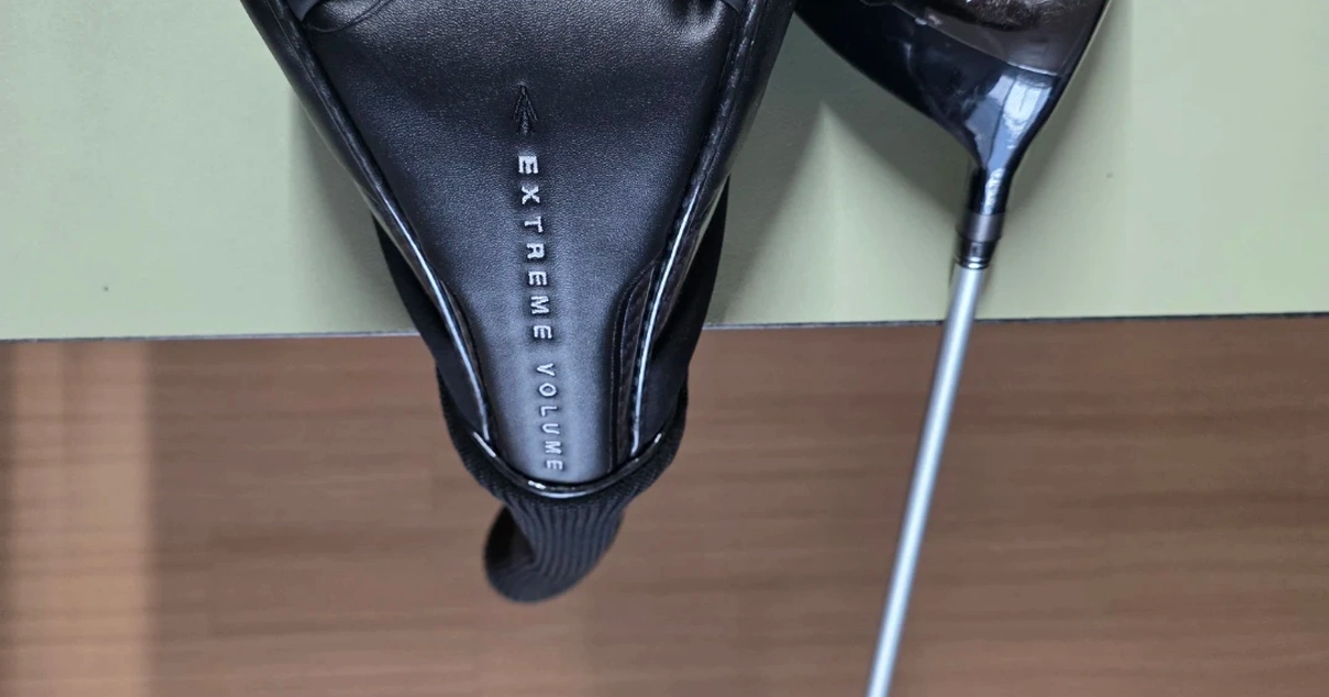 DAVID 데이비드 D30 드라이버 R 10.5도 | 스포츠/레저 | 당근 중고거래