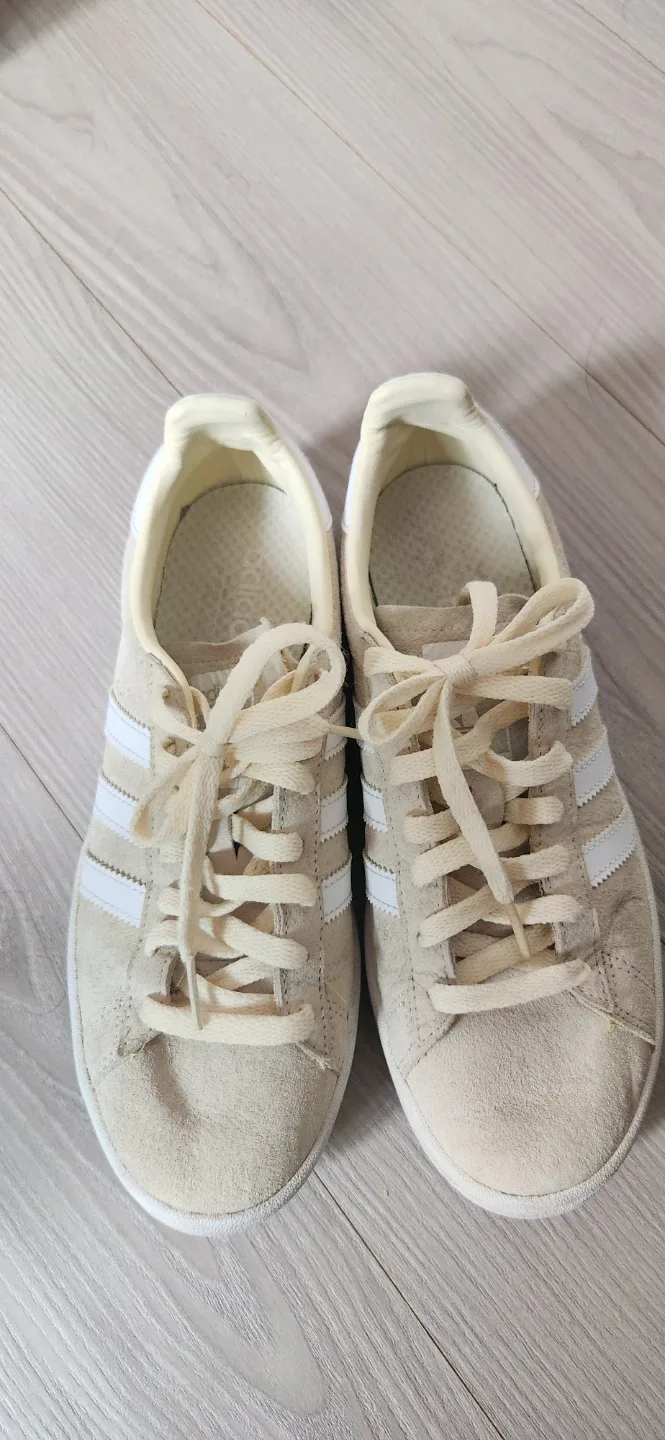 아디다스 캠퍼스 스웨이드 운동화 250mm