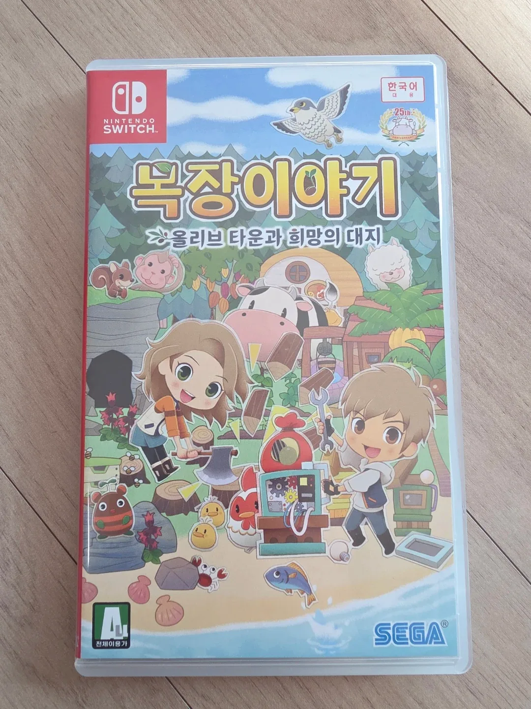 닌텐도 스위치 목장이야기 올리브 타운