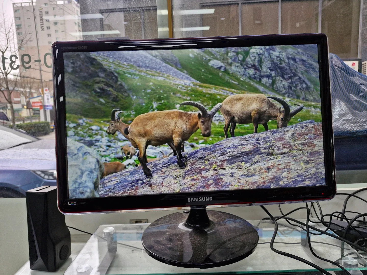 삼성 24인치 LED 모니터 팝니다