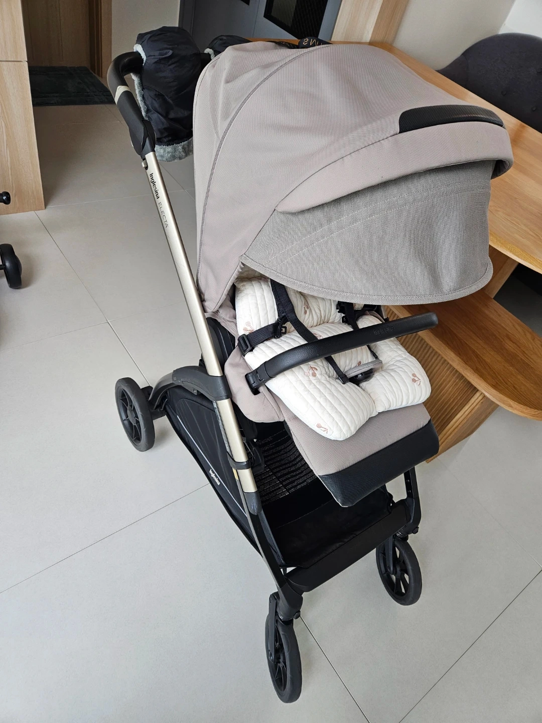 잉글레시나 일렉타