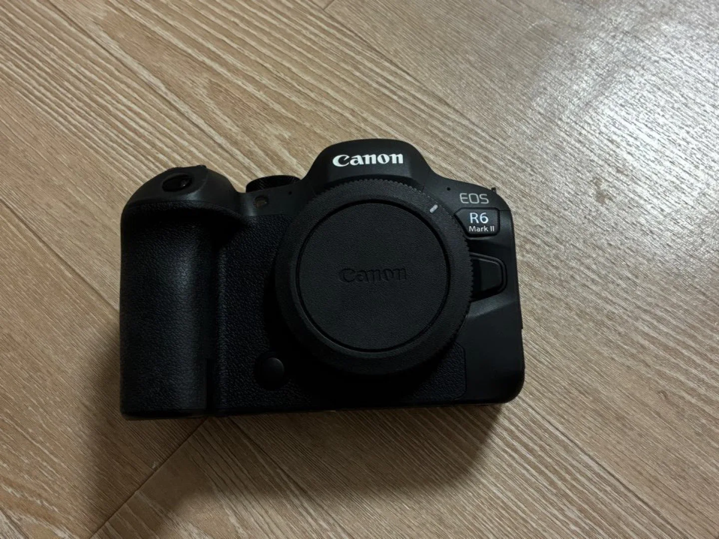 캐논 EOS R6 Mark II 카메라 본체 바디 급처합니다