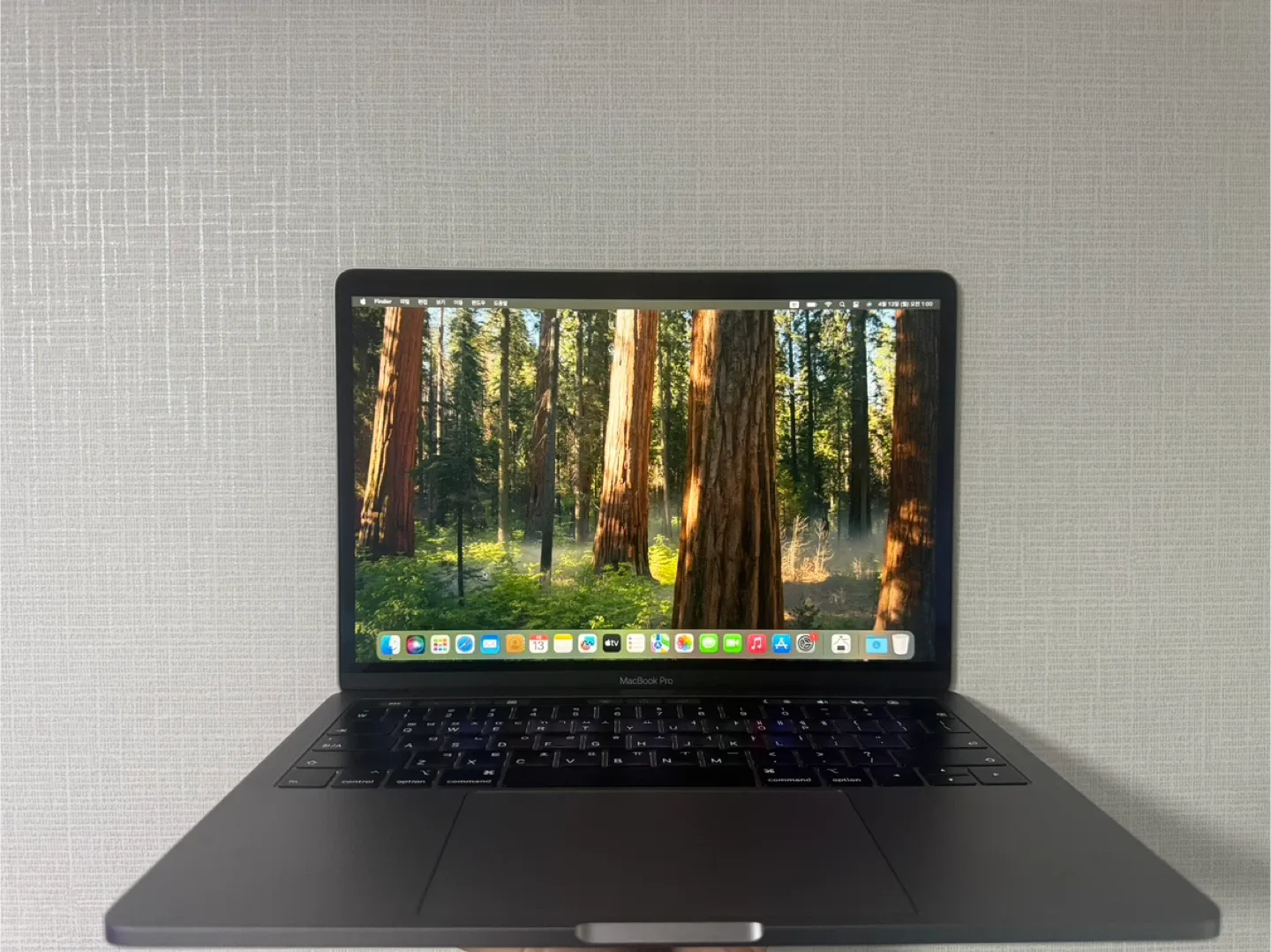 2019 맥북 프로 13인치 터치바 i5 8GB 256GB