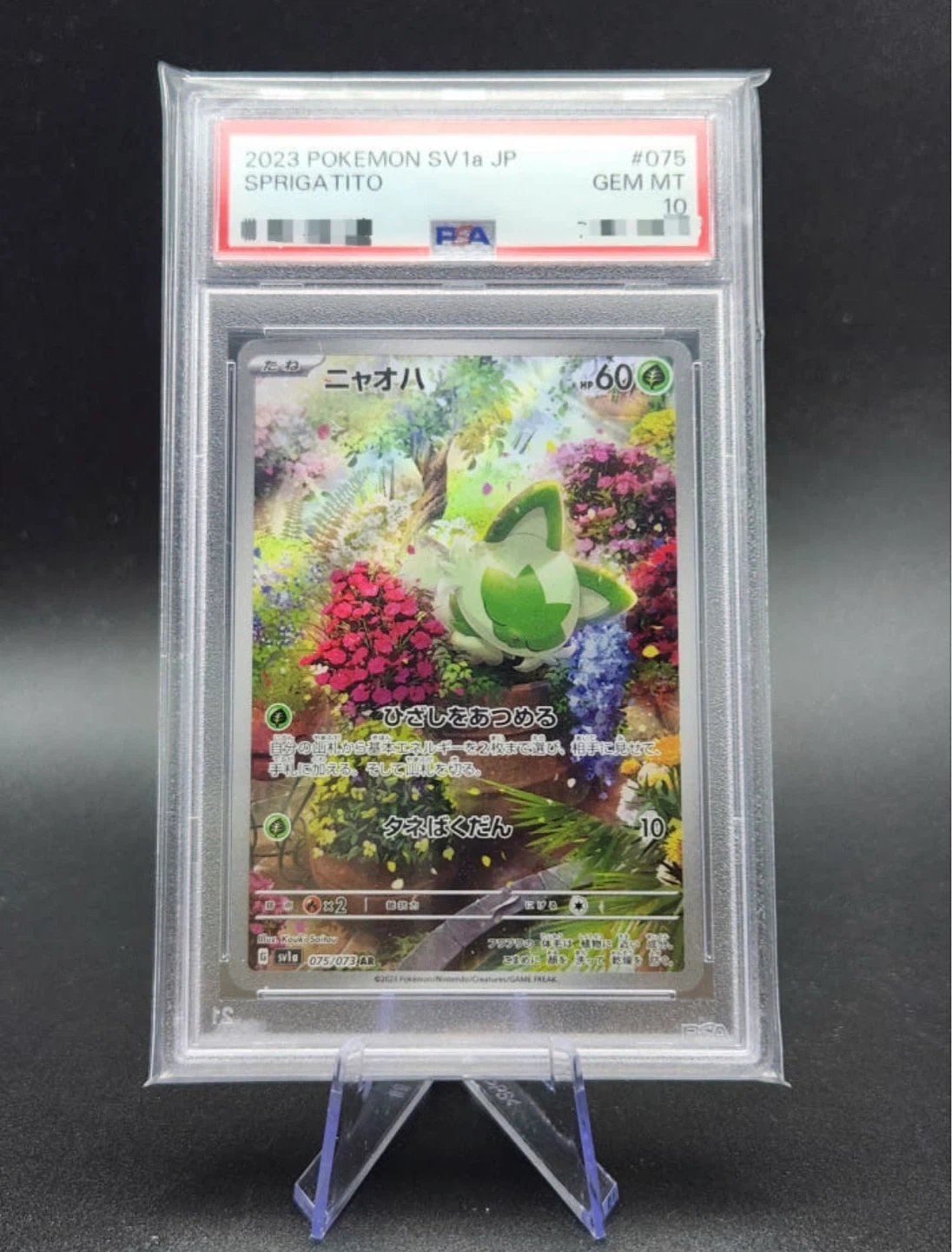 포켓몬 카드 나오하 PSA 10 GEM MT
