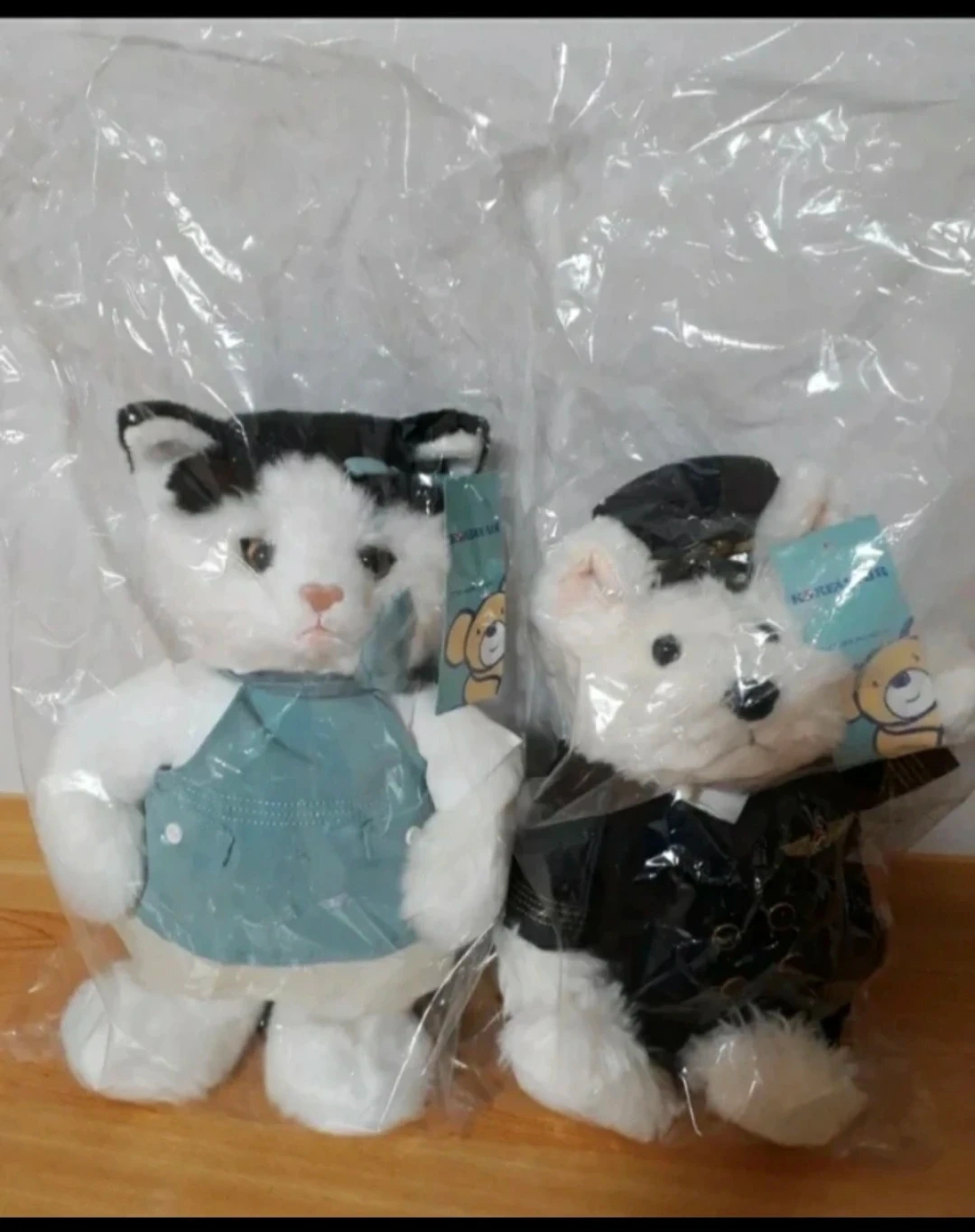 대한항공 테디베어 파일럿 고양이/곰돌이 인형