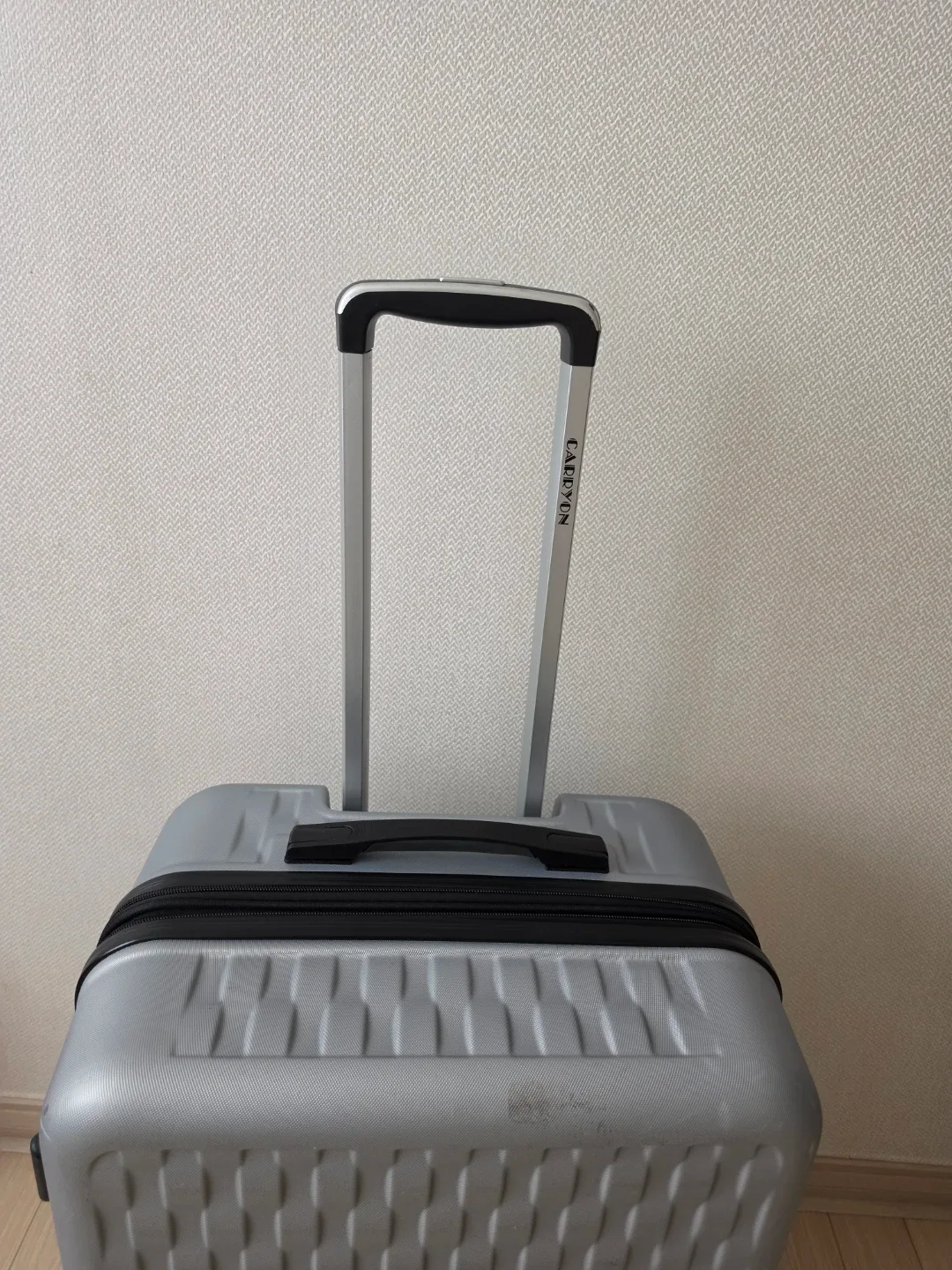 여행용 실버 캐리어 24인치