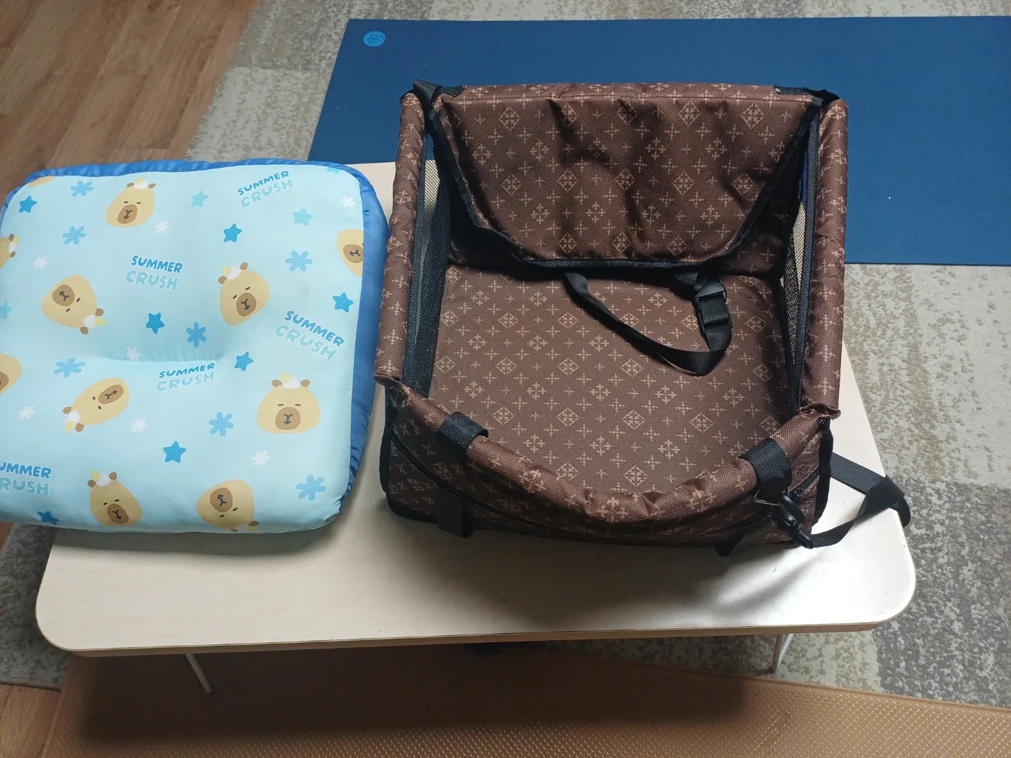 강아지 카시트 + 방석 세트