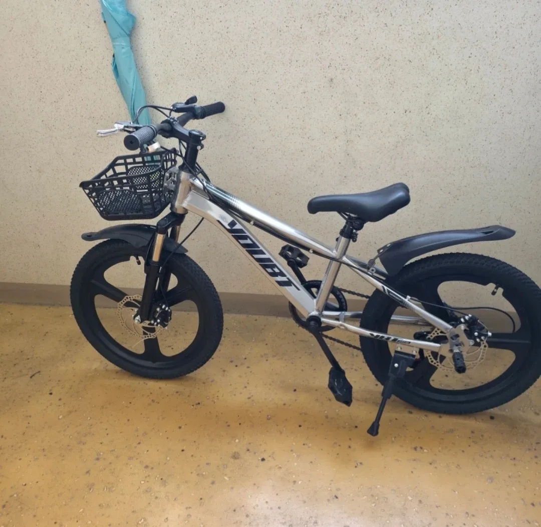 20인치 아동 자전거