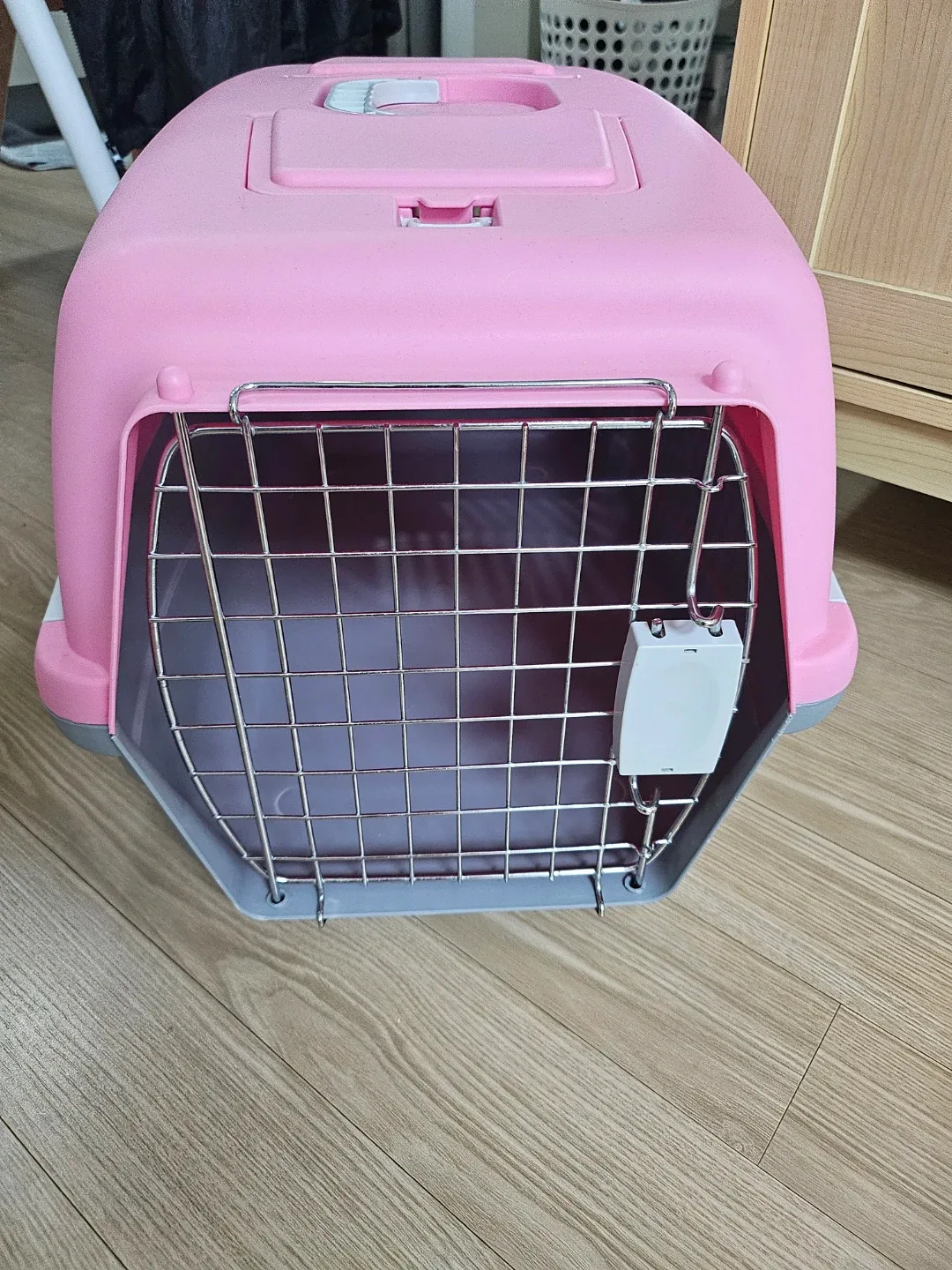 애견이동장 캐리어