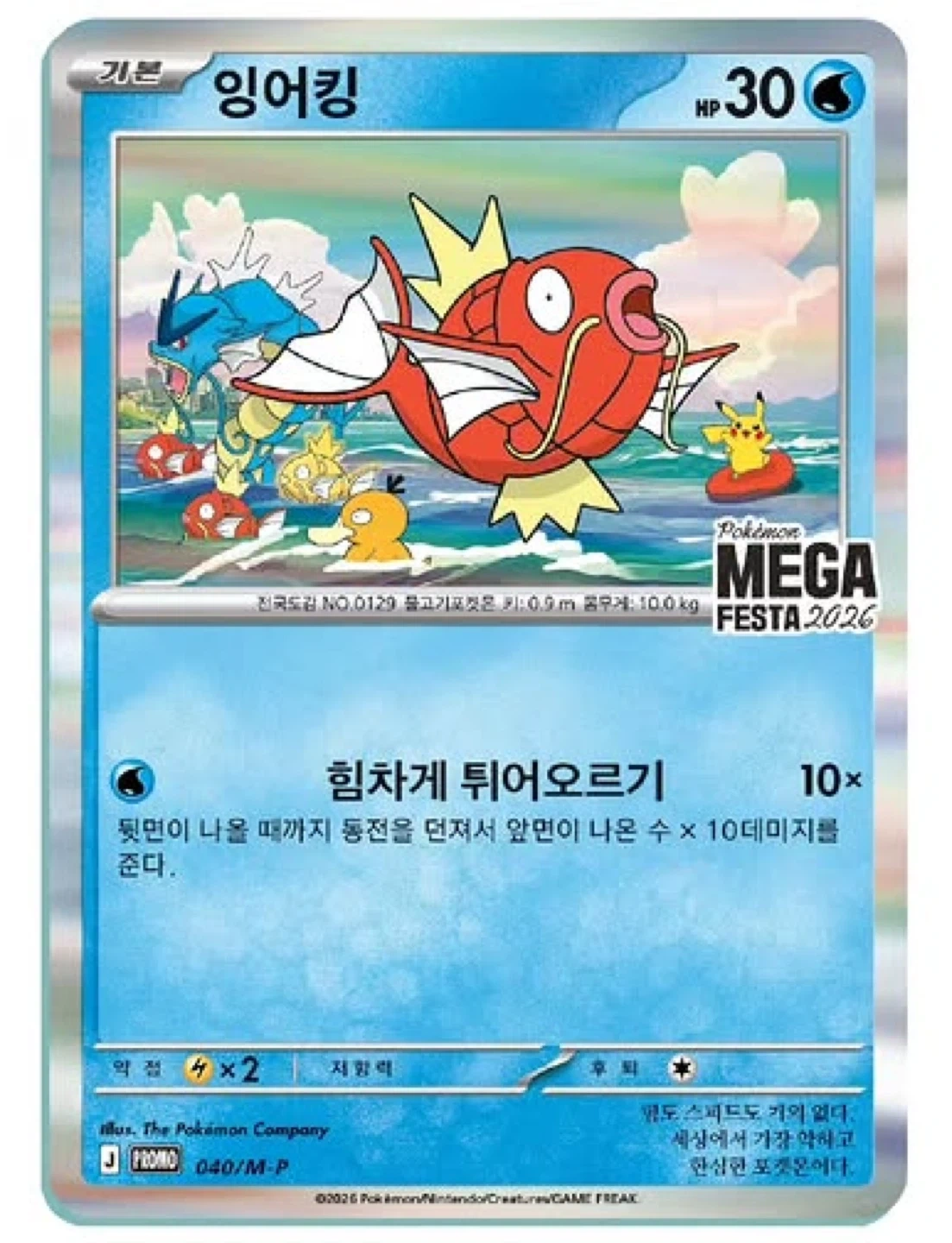 잉어킹 프로모카드