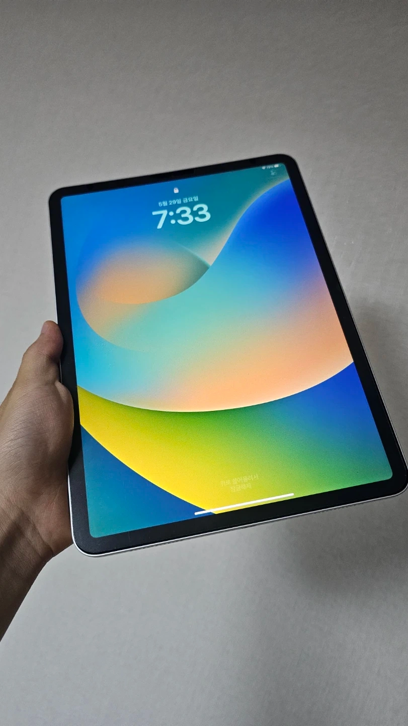 Apple iPad Pro 256GB 실버