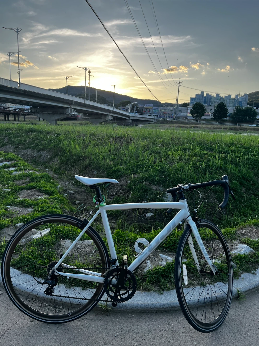 후지(FUJI) 리미티드 에디션 로드자전거 판매합니다.