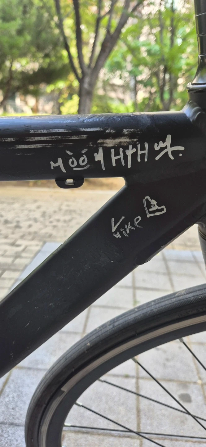 픽시 자전거 블랙