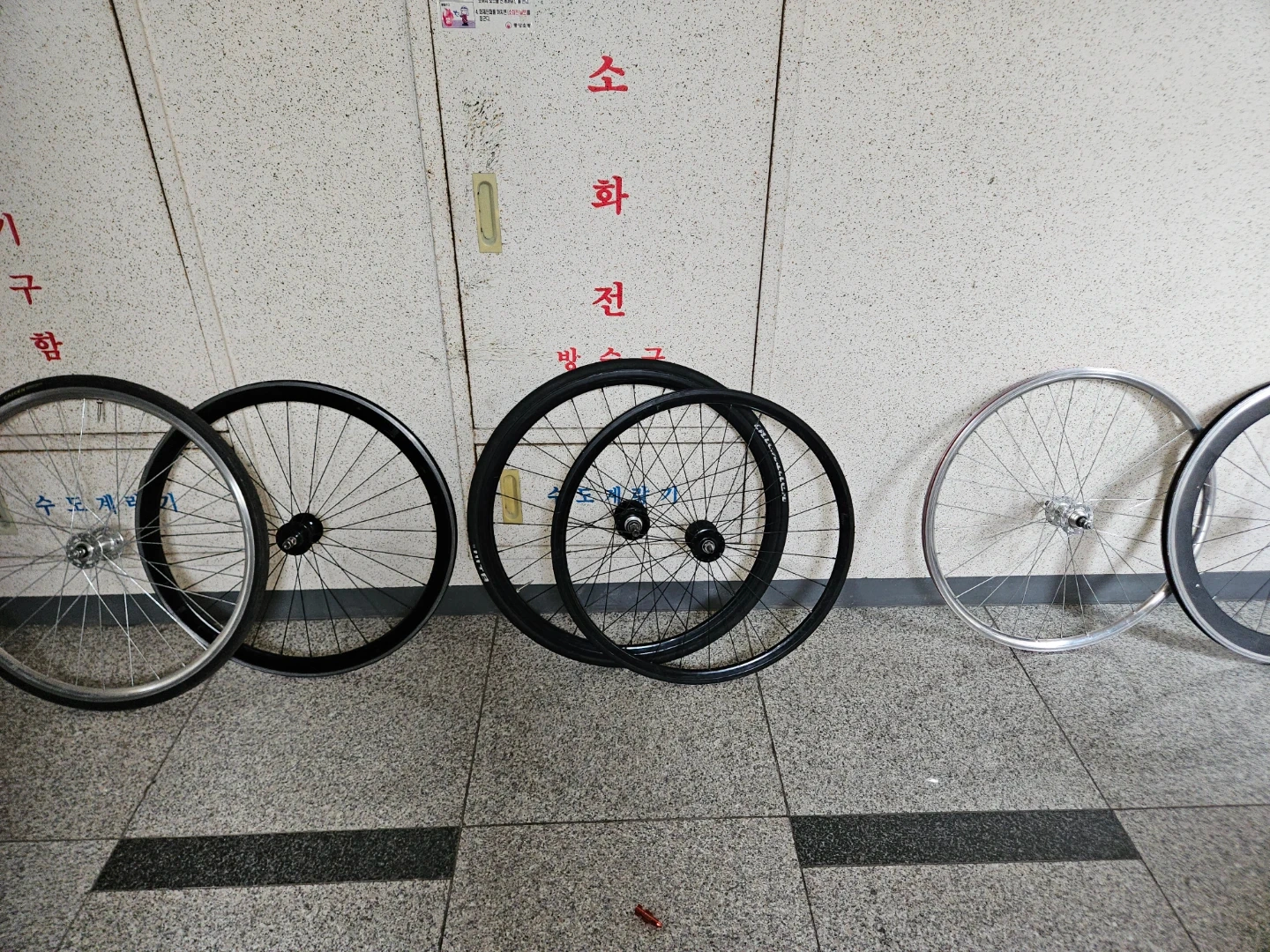 노바택 휠쎗 경륜 휠쎗 등등 팜