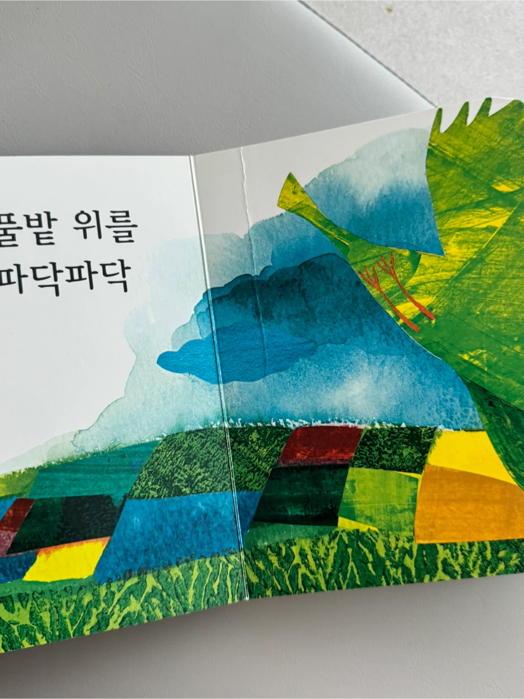 시공주니어 알록달록 아기 그림책 15권 (빼뜨르호라체크) | 유아도서