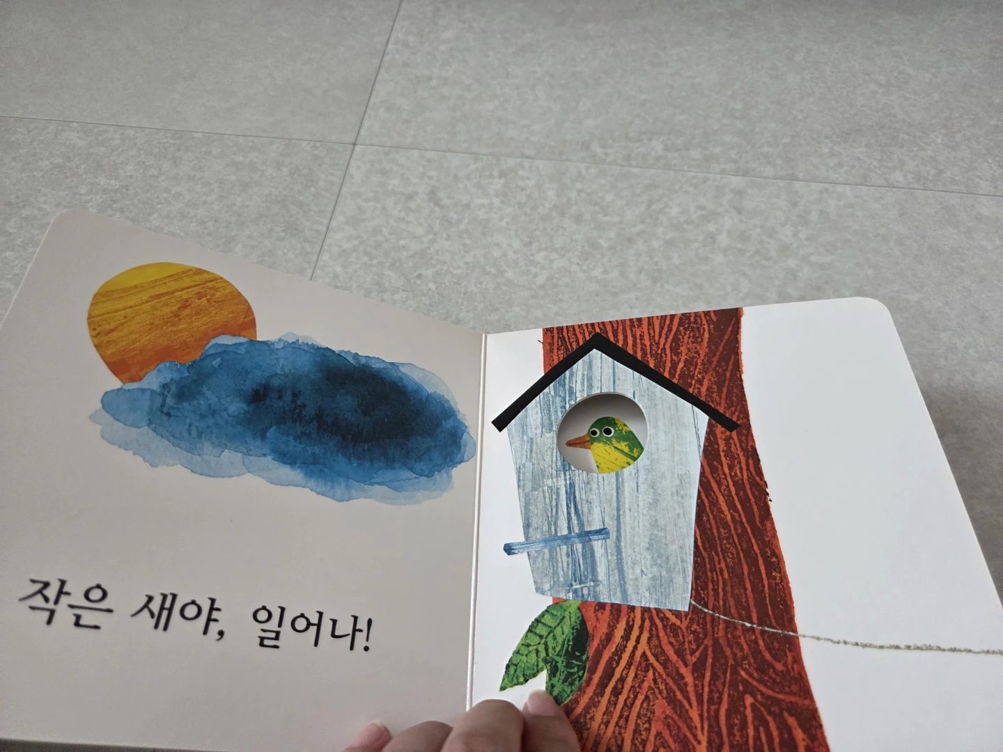 시공주니어 알록달록 아기 그림책 20권 | 유아도서 | 당근 중고거래