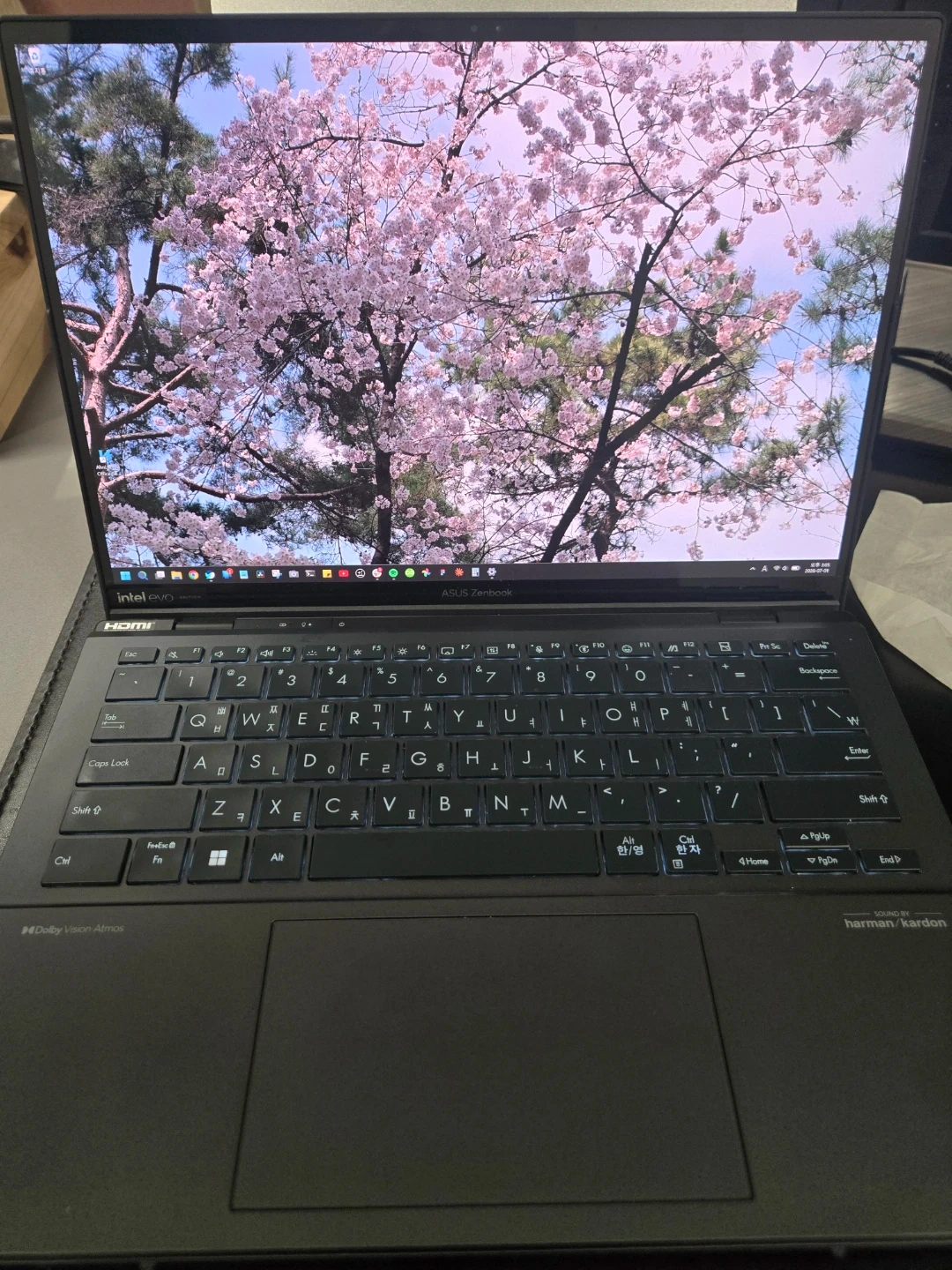 ASUS 젠북 듀오 14인치. 코어 울트라 9, 2TB, 32GB