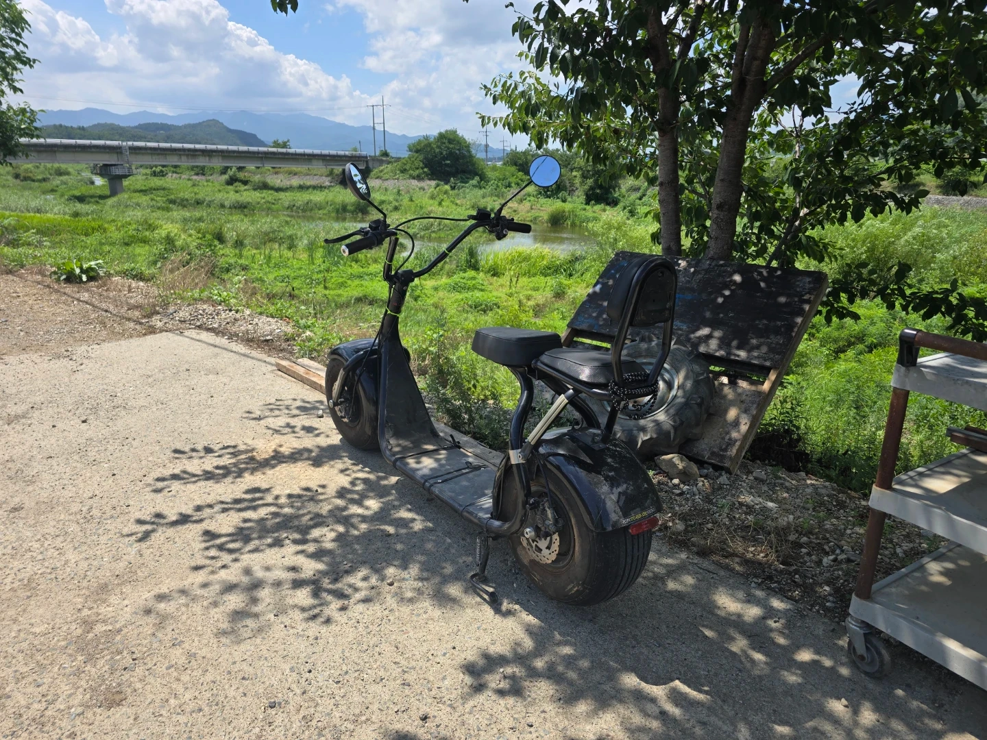 블랙 할리 스타일 전기 스쿠터