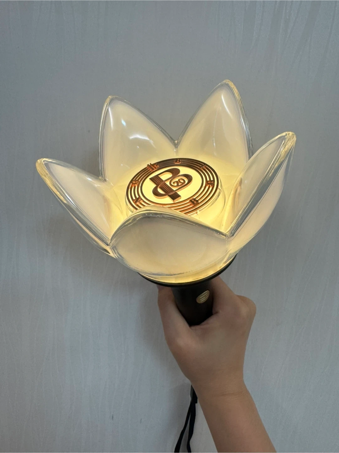 빅뱅 20주년 공식 응원봉 대여