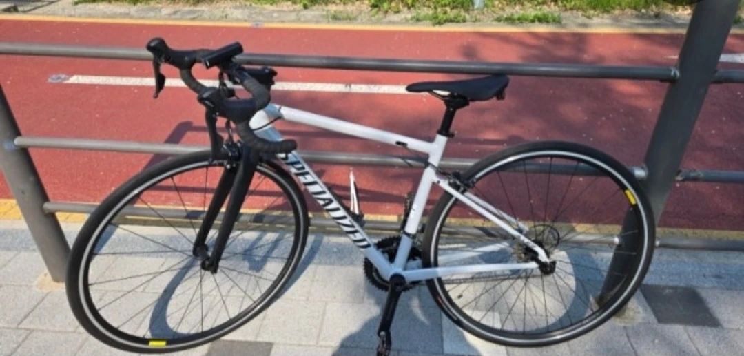 스페셜라이즈드 로드 자전거