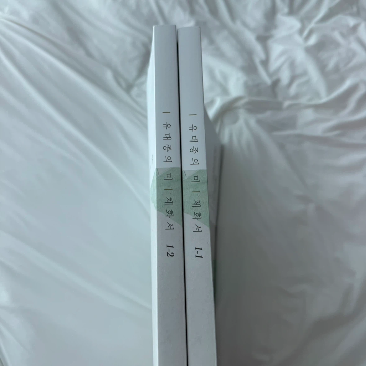 2027 대성마이맥 유대종t 유대종의 미 체화서 일괄 판매합니다.