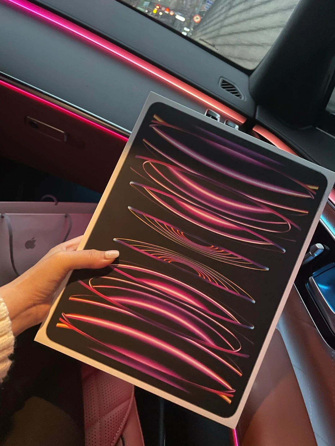 Apple iPad Pro 12.9 M2 128GB+정품펜슬