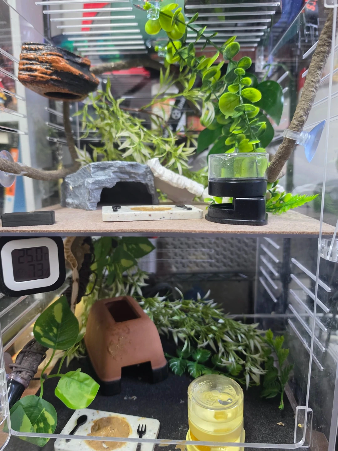 크레스티드 게코 사육장 풀세트