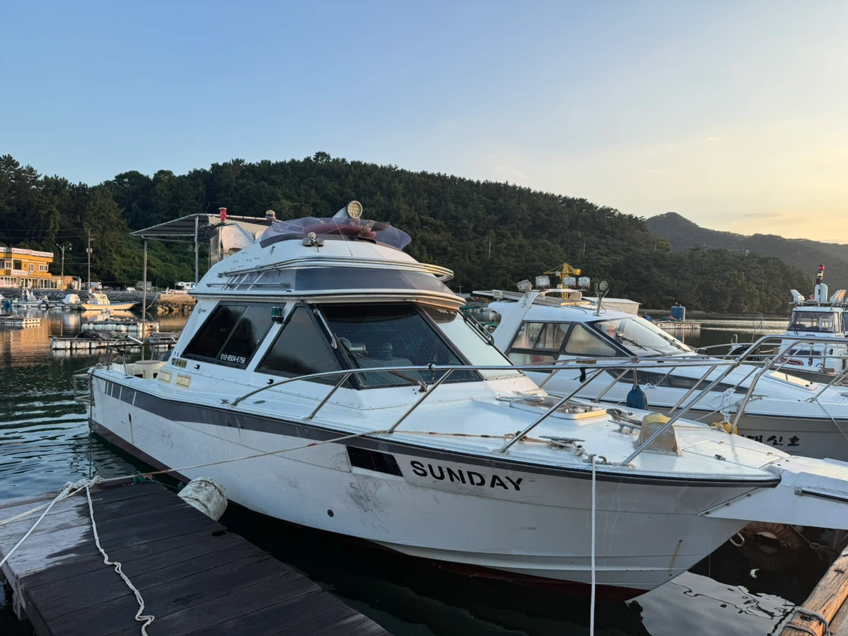 야마하 하우스 보트 PC-26(Pacific Cruiser-26), 선외기300마력 보트 판매합니다.