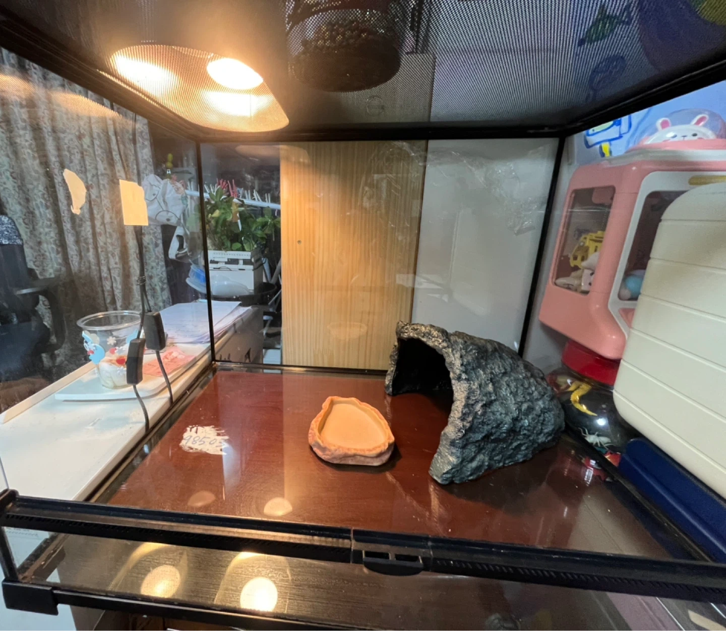 렙티주 수륙양용 멀티 테라리움 사육장(상태 최상)
