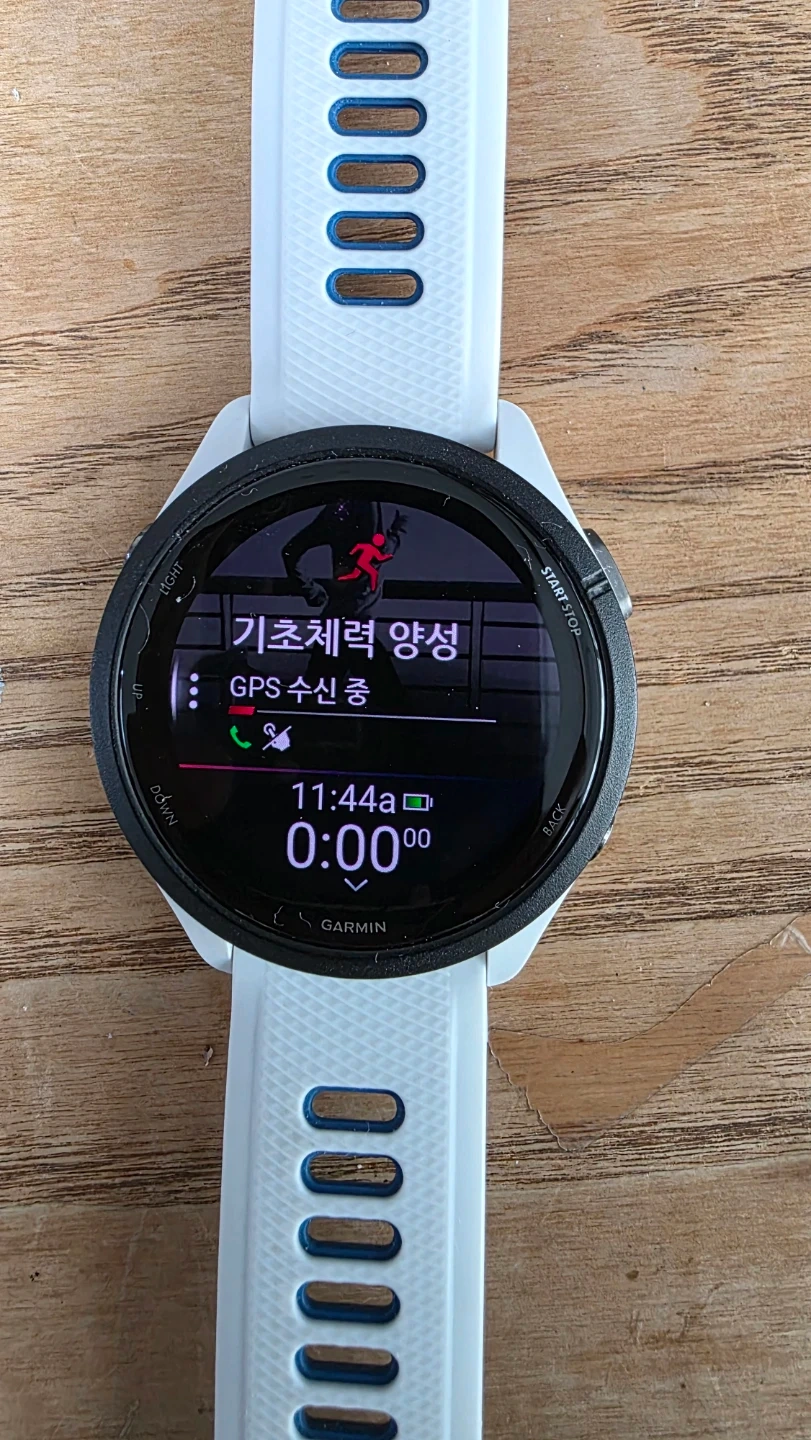 국내 정발 정품 가민 포러너 265 화이트 .